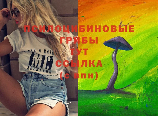 стаф Богородицк