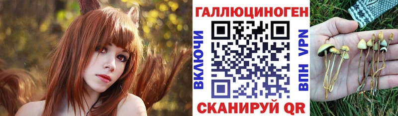 Галлюциногенные грибы Cubensis  Берёзовка 